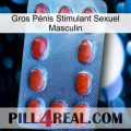 Gros Pénis Stimulant Sexuel Masculin 06